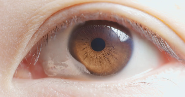 微距拍摄的棕色眼睛图片下载