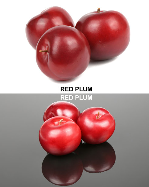 红梅水果的创意布局。图片下载