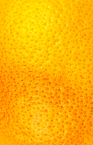 近距离的照片柚子皮纹理。外来熟果背景，宏观观。人类皮肤问题的概念，粉刺和脂肪团。美丽的大自然壁纸。图片下载