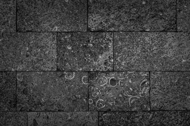 抽象的石墙与贝壳黑色和白色图片下载