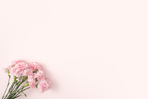 以粉红色的桌子为背景，以康乃馨花束作为母亲节节日问候的设计理念图片下载
