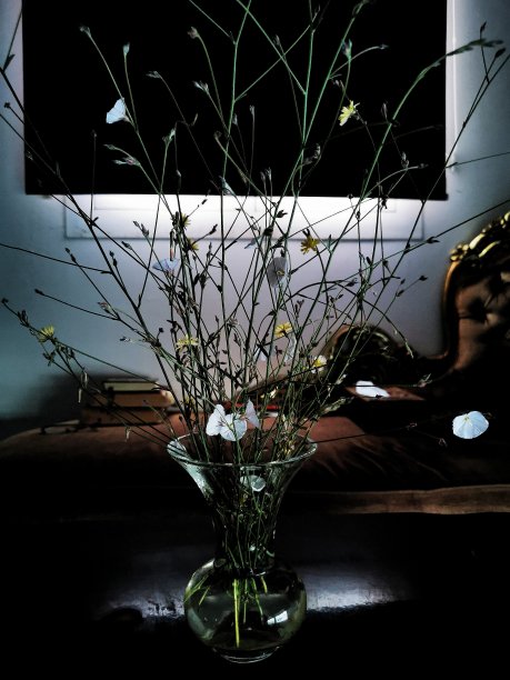 带野花的插花花瓶图片下载