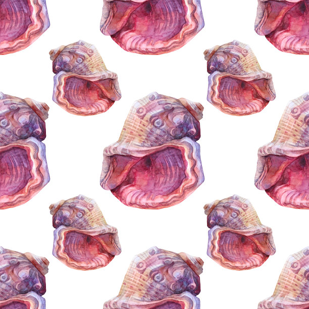 无缝模式水彩粉红色棕色海贝壳与珍珠孤立的白色背景。创意手绘自然现实对象庆祝，文具，卡片，墙纸，纺织品，包装图片下载