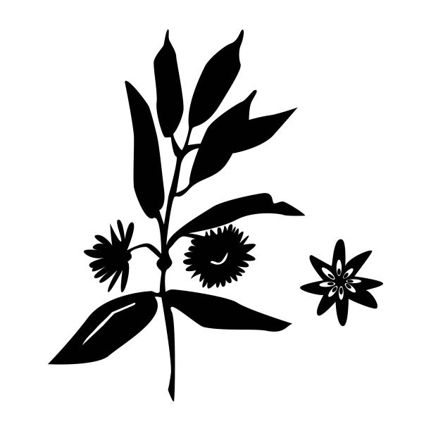 抽象八角剪影图标孤立的白色背景。草本矢量平面插图。图片下载