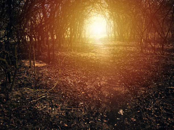 通向隧道尽头亮光的小径图片下载