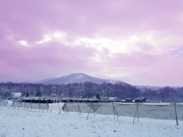 美丽的冬季雪景背景。图片下载