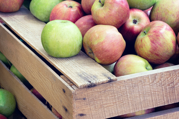 新鲜的红苹果装在木箱里图片下载