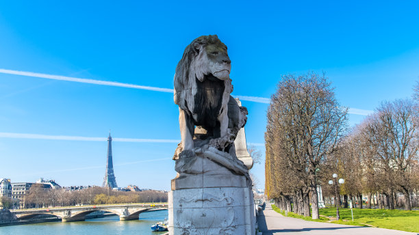 巴黎，残废军人院大桥图片下载