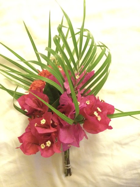 惊喜的花束图片下载