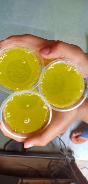 三杯冷饮图片下载