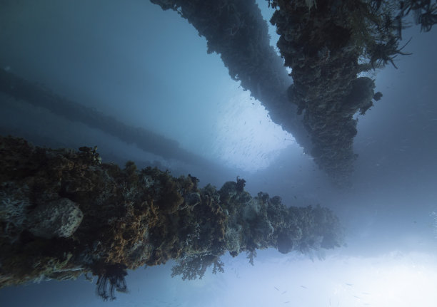 在明亮的蓝色海洋背景下，码头支撑着满是珊瑚的水下。图片下载