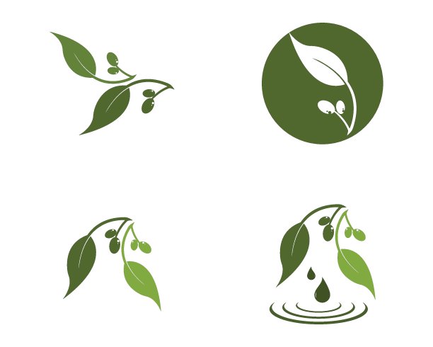 橄榄色标识矢量模板设计图片下载
