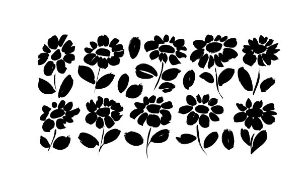 洋甘菊手绘黑色颜料向量集。图片下载