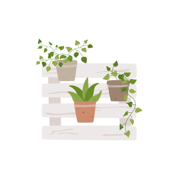 木架上孤立的盆栽室内植物。图片下载