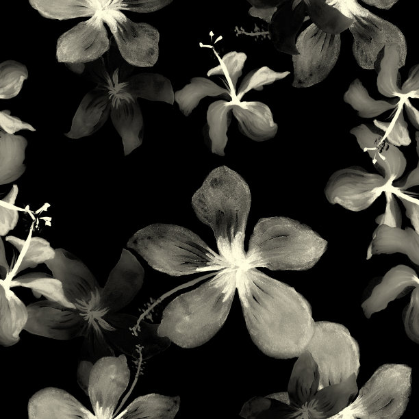 黑色的热带落叶。白色无缝的异国情调。模式的手掌。花的手掌。壁纸树叶。画树叶。春天的树叶。水彩树叶。图片下载