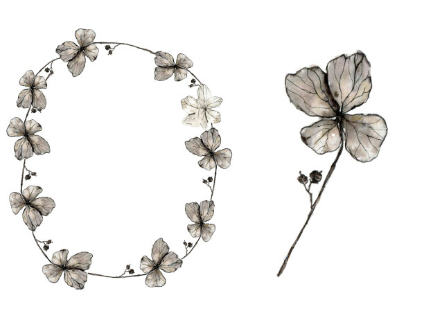 装饰花环的绣球花瓣和单花，水彩插图在素描风格。干花边界与copyspace，孤立在白色背景。粉彩细腻，干花邀请优雅，复古花香。图片下载