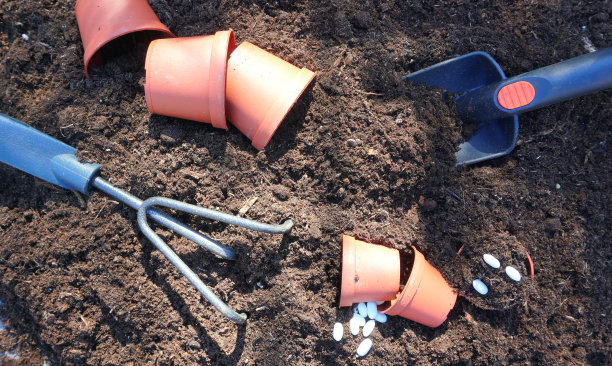 在盆栽棚外用园艺工具手工种植蔬菜幼苗，用于城市蔬菜花园图片下载