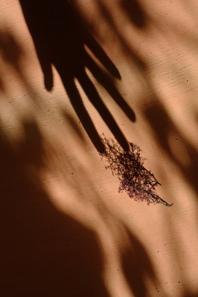 枯枝和女性手的影子在垃圾墙的背景上。抽象的，光影的游戏，图片下载