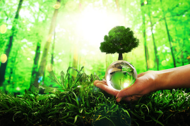 拯救地球。环境概念世界地球日横幅。双手捧着玻璃绿色星球在阳光灿烂的背景。图片下载