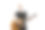 吉他手在孤立的白色背景上大声弹奏和歌唱。图片下载