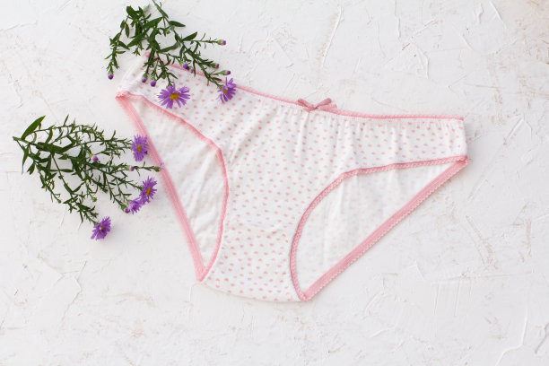 美丽的女人棉内裤在白色的背景。图片下载