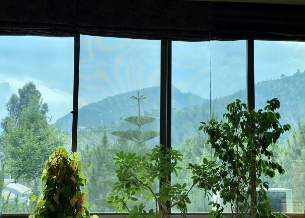 玻璃窗外景色图片下载