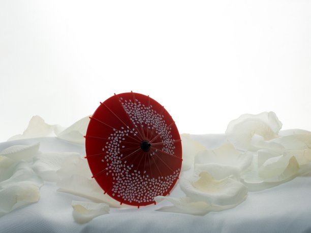 白色背景上的雅致日式纸伞图片下载