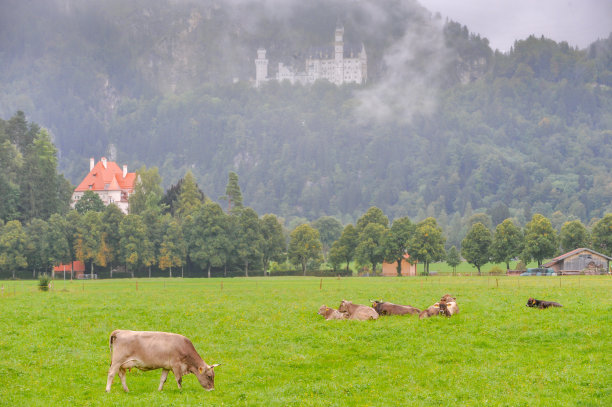 德国巴伐利亚大雾中的一个农场图片下载