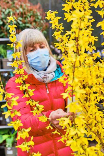 在花园中心浏览植物的女人图片下载