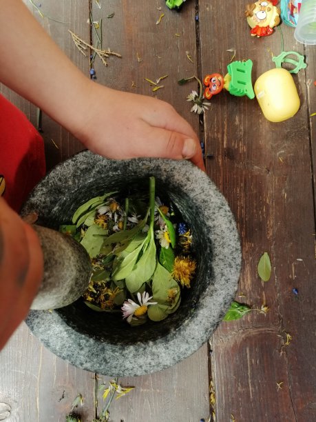 我儿子把花砸在臼里图片下载