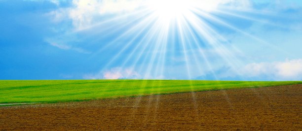 田野、草地和天空图片下载