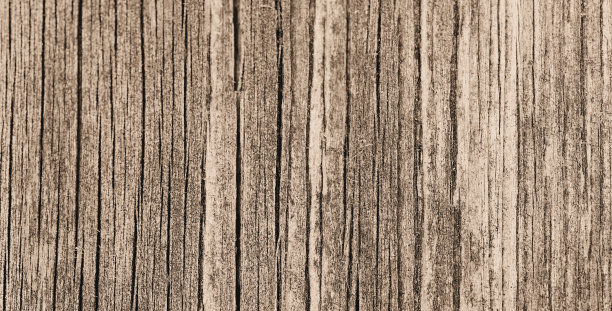 Holzhintergrund乌贼图片下载