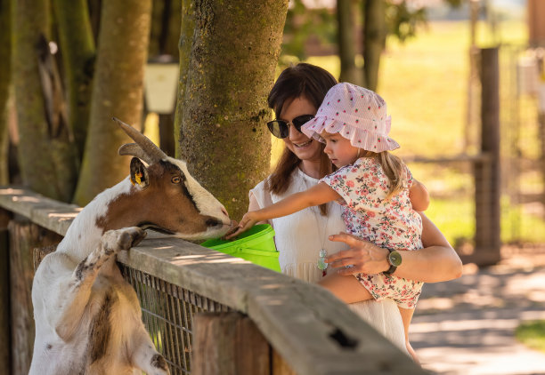 快乐的孩子抱着妈妈在农场里喂山羊。图片下载