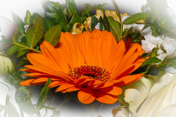 葬礼上一束鲜花的特写照片。白色，黄色和橙色的花和绿色的叶子图片下载