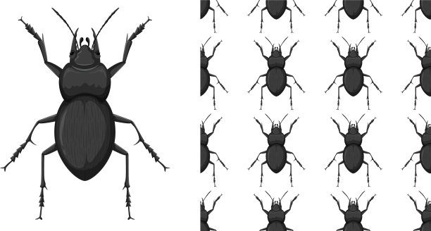被隔离在白色背景和图片下载