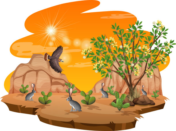 杂酚油灌木植物在野生沙漠上白色图片下载