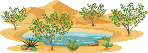 杂酚油灌木植物在野生沙漠上白色图片下载