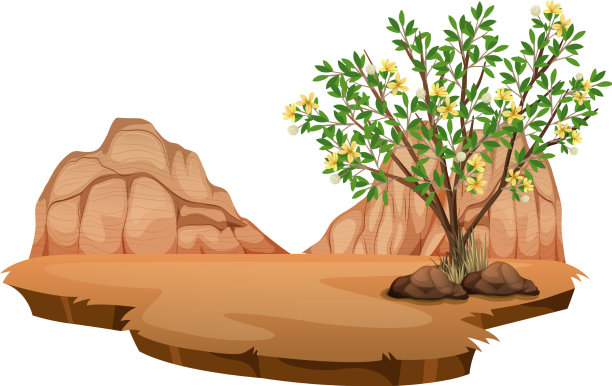 杂酚油灌木植物在野生沙漠上白色图片下载