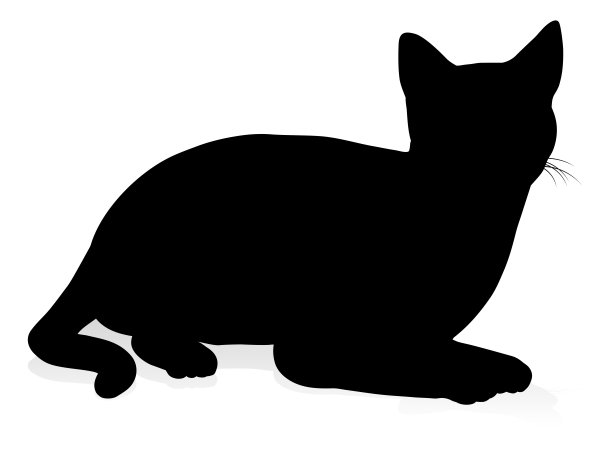 剪影猫及宠物图片下载