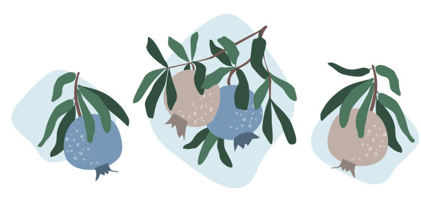 石榴在有叶子的树枝上。用简单的形状和水果构成的抽象设计元素。极简主义，柔和的大地色。矢量横幅明信片，墙壁艺术图片下载
