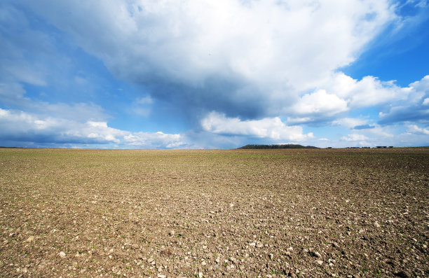 英国威尔特郡蒂斯伯里附近的耕地图片下载