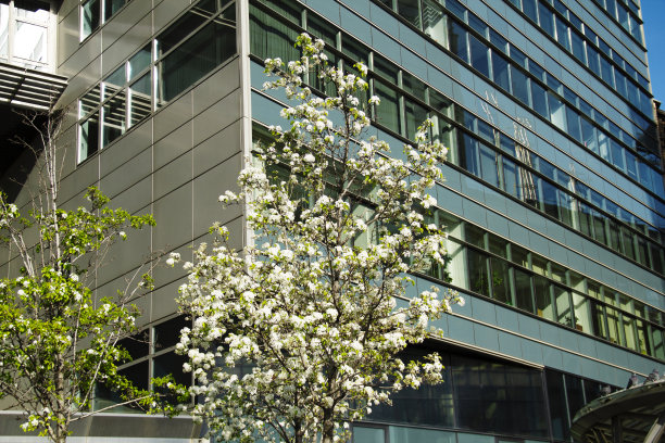 金融大厦反映在市中心图片下载