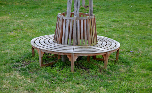 围坐着的长凳上镶着木镶板图片下载