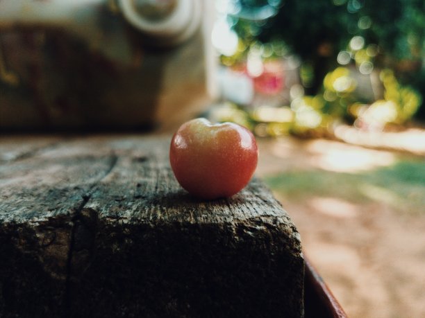 木头上的水果图片下载