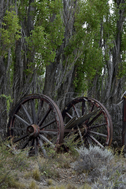 古董车的轮子图片下载