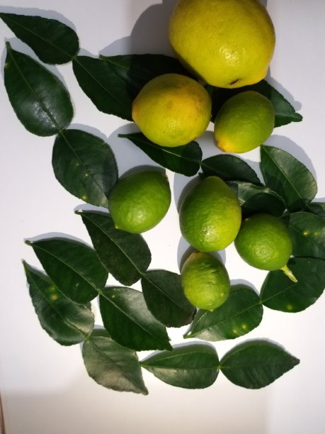 印尼当地柠檬图片下载