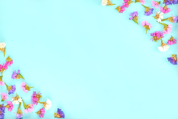 一幅以蓝色为背景的干花画。俯视图图像干燥的多色花。复制空格键。浪漫的花朵。空间的文本。Limonium perezii。Kermek。Statica图片下载