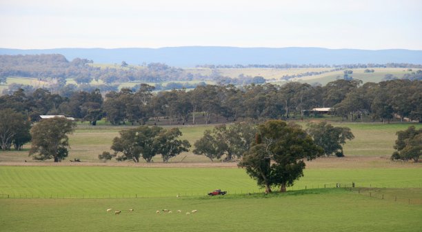 中央维多利亚景观图片下载