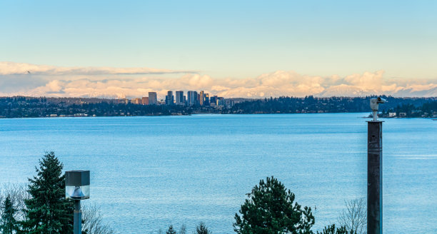 晚上贝尔维尤的天际线图片下载