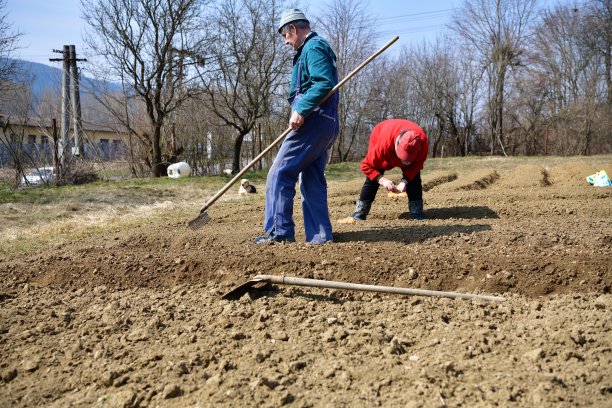 春天，一位农民在农村的土壤里播种图片下载
